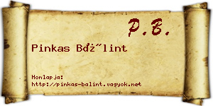 Pinkas Bálint névjegykártya